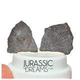 J211 - Exceedingly Rare Hadrosaurid (cf Maisaura peeblesorum) Set of 2 Egg Shells - Late Cretaceous Two Medicine Fm