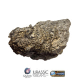 S101 - "NWA 17660" Eucrite Polymict HED Achondrite Meteorite MAIN MASS 227g