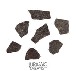 J280 - Unusual Unidentified Dinosaur Set of 7 Egg Shells - Upper Jurassic - "The Young Locality" Morrison Fm