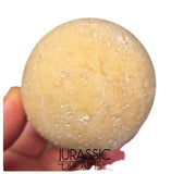 J339 - Rare Fossil Egg of Giant Tortoise Aldabrachelys abrupta - Holocene from Madagascar