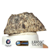 J326 -  "MONEGROS" Rare Historical Spanish Meteorite - 5,27g Thick Crusted Slice - Ordinary Chondrite L5