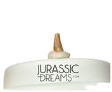 S345 - Exceedingly Rare Paronychodon caperatus (Troodontid Theropod) Dinosaur Tooth - Lance Fm