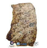 S276 - "NWA 14917" Diogenite Polymict Meteorite Large thick Slice HED Achondrite 26,4g