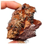 S206 - Top Rare Unusual Gohetite Geode with Astonishing Prismatic Columnar Pyrolusite Crystals