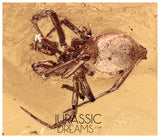 J34 - Nice SPIDER Araneae Fossil Inclusion Genuine BALTIC AMBER + HQ Picture