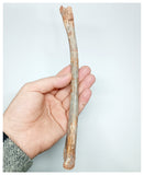 1140 - Museum Grade Unidentified Pterosaur Femur Bone Cretaceous KemKem