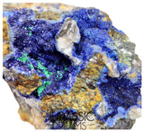 S208 - Top Quality Azurite Crystals + Malachite + Sulfides (Pyrite & Chalcopyrite) +Galena in Quartz Matrix