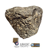 S101 - "NWA 17660" Eucrite Polymict HED Achondrite Meteorite MAIN MASS 227g