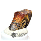 20160 - Finest Grade Ouranosaurus Basal Hadrosaurid Dinosaur Tooth - Cretaceous Elrhaz Fm IN CATAWIKI AUCTION