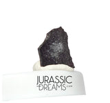 J295 - Top Rare Unidentified Theropod Dinosaur Egg Shell - Late Cretaceous Two Medicine Fm