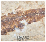 S247- Aesthetic "Knightia eocaena" Fossil Fish Mass Mortality Plate with 4 specimens - Eocene Age from USA