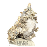 J04 - Astonishing Dendritic Allargentum Silver after Dyscrasite in Calcite Matrix