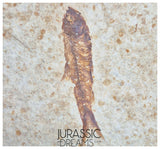 S247- Aesthetic "Knightia eocaena" Fossil Fish Mass Mortality Plate with 4 specimens - Eocene Age from USA