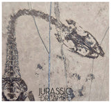 S226 - Top Well Preserved Keichousaurus hui Early Triassic Marine Reptile WITH VISIBLE TEETH dorsal view