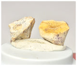 1569 - Set of 2 Rare Ouranosaurus Basal Hadrosaurid Dinosaur Teeth Cretaceous Elrhaz Fm