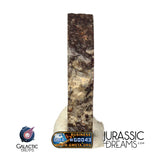J326 -  "MONEGROS" Rare Historical Spanish Meteorite - 5,27g Thick Crusted Slice - Ordinary Chondrite L5