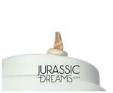 S345 - Exceedingly Rare Paronychodon caperatus (Troodontid Theropod) Dinosaur Tooth - Lance Fm