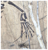 S67 - Nicely Preserved Keichousaurus hui Early Triassic Marine Reptile