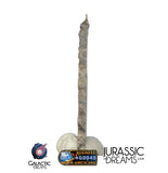 S274 - "The Apollo Lunar" Meteorite Part Slice "Gadamis 008"  Lunar ferroan anorthosite 0,40g