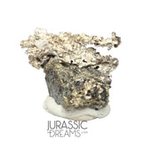 J05 - Astonishing Dendritic Allargentum Silver after Dyscrasite in Matrix