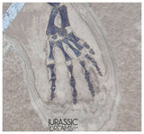 S227 - Large & Nicely Preserved Keichousaurus hui Early Triassic Marine Reptile