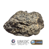 S100 -  "NWA 17660" Eucrite Polymict HED Achondrite Meteorite Half Stone 154g