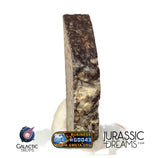 J326 -  "MONEGROS" Rare Historical Spanish Meteorite - 5,27g Thick Crusted Slice - Ordinary Chondrite L5