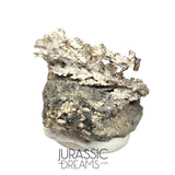 J05 - Astonishing Dendritic Allargentum Silver after Dyscrasite in Matrix