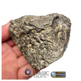 S101 - "NWA 17660" Eucrite Polymict HED Achondrite Meteorite MAIN MASS 227g