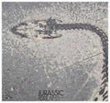 S138 - Nice Keichousaurus hui Early Triassic Marine Reptile WITH PRESERVED TEETH