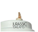 S345 - Exceedingly Rare Paronychodon caperatus (Troodontid Theropod) Dinosaur Tooth - Lance Fm