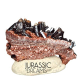 S298 - Top Rare Unusual Gohetite Partial Geode with Astonishing Prismatic Columnar Pyrolusite Crystals