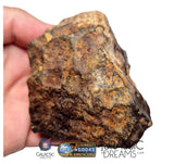S195 -  "NWA 17596" MAIN MASS Ordinary Chondrite Type LL3 Meteorite 249g