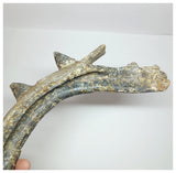 1199 - Museum Grade Spicomellus afer Oldest Ankylosaurian Dinosaur Complete Spiny Rib - El Mers Fm