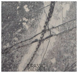 S138 - Nice Keichousaurus hui Early Triassic Marine Reptile WITH PRESERVED TEETH