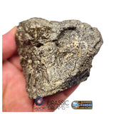 S101 - "NWA 17660" Eucrite Polymict HED Achondrite Meteorite MAIN MASS 227g