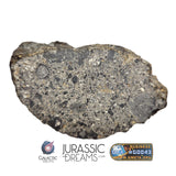 S100 -  "NWA 17660" Eucrite Polymict HED Achondrite Meteorite Half Stone 154g