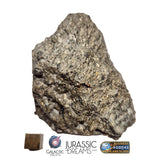 S101 - "NWA 17660" Eucrite Polymict HED Achondrite Meteorite MAIN MASS 227g