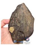 S78 -  "NWA 17599" MAIN MASS Fresh Eucrite (unbrecciated) HED Achondrite Meteorite 1280g