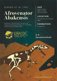 20300 - Nicely Preserved Afrovenator abakensis Megalosaurid Dinosaur Tooth