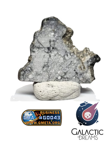 40014 - "The Apollo Lunar" Meteorite Part Slice "Gadamis 008"  Lunar ferroan anorthosite 0,99g IN CATAWIKI AUCTION NOW