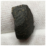 13021 P15 - New "NWA 14740" (Provisional) Carbonaceous Chondrite C3 Ung Meteorite 2.68g