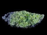 ST90 - Rare Natural Peridot (Chrysolite) Crystals Specimen On Volcanic Rock