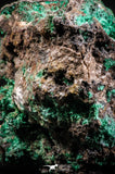 04988 -  Well Crystallized Acicular Brochantite with Quartz from South Morocco
