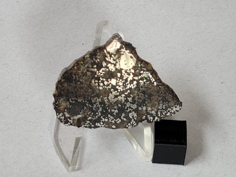 "NWA 13102" - Mesosiderite Slice 5.80g