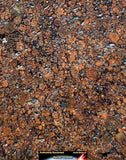 09024 - Polished Endcut NWA Unclassified Ordinary Chondrite H3 Meteorite 63.8 g
