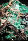 04988 -  Well Crystallized Acicular Brochantite with Quartz from South Morocco