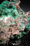 04988 -  Well Crystallized Acicular Brochantite with Quartz from South Morocco