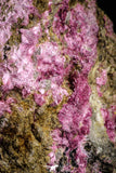 22098 - Nice Pink Erythrite Crystals on Matrix - Bou Azzer Mine (South Morocco)