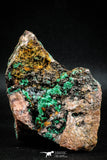 04989 -  Well Crystallized Acicular Brochantite with Quartz from South Morocco